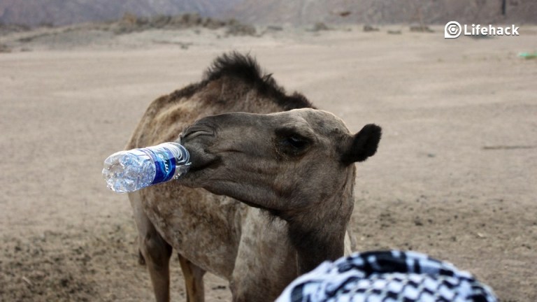 10-Great-Reasons-to-Drink-Water